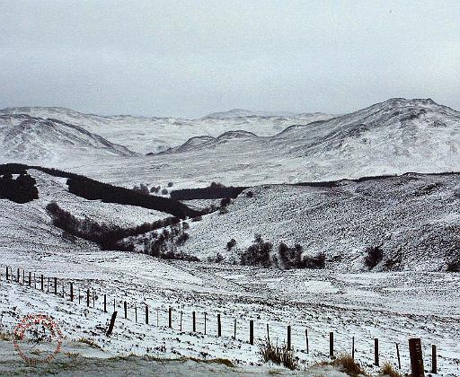 Scottish Highlands 9T041D-010.JPG